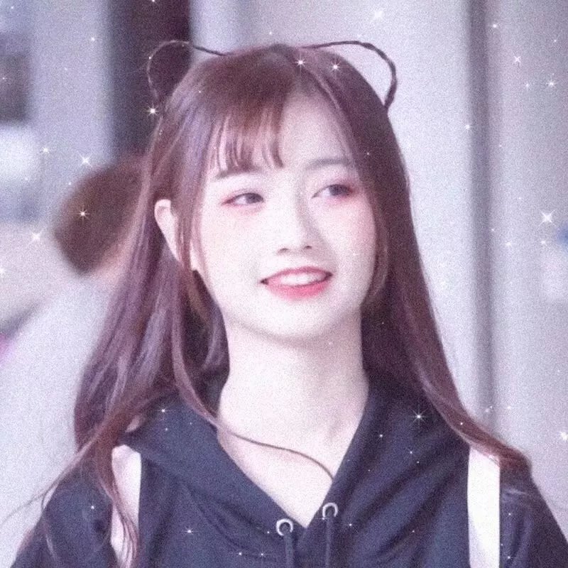 段子狗日记
